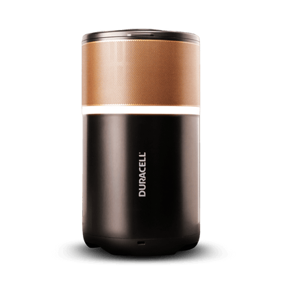 Image of the charging dock and the power station with the ring light on.